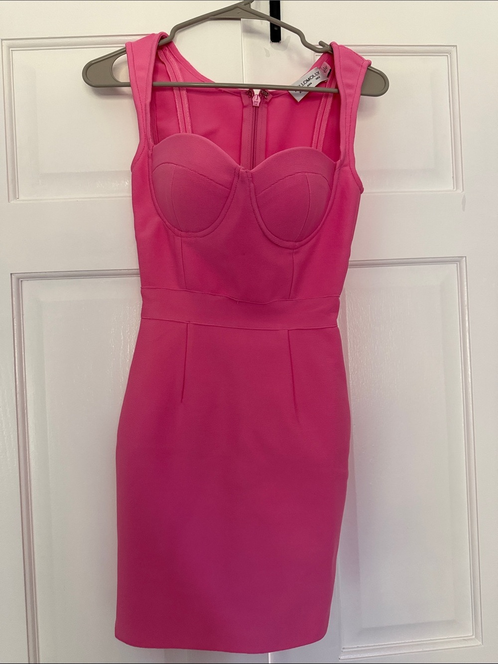 Hello Molly Hot Pink Structured Bust Mini Dress